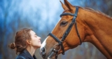 Horses recognise human emotions