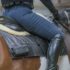 How to prevent back pain in horses