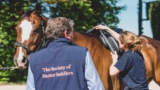 Is your Saddle Fitter Qualified?