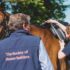 Saddler or Saddle Fitter?