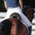What are the Consequences of a Badly Fitting Saddle?