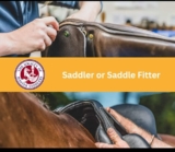 Saddler or Saddle Fitter?