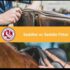 Is your Saddle Fitter Qualified?