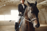 Suitably Mounted?