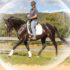 Getting up close and personal with horse poo!