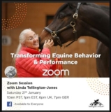 Zoom Session with Linda Tellington-Jones